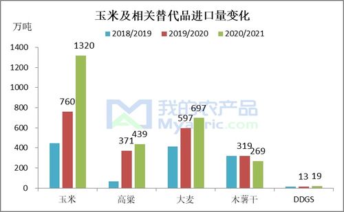2023年4月玉米進口及替代品市場淺析